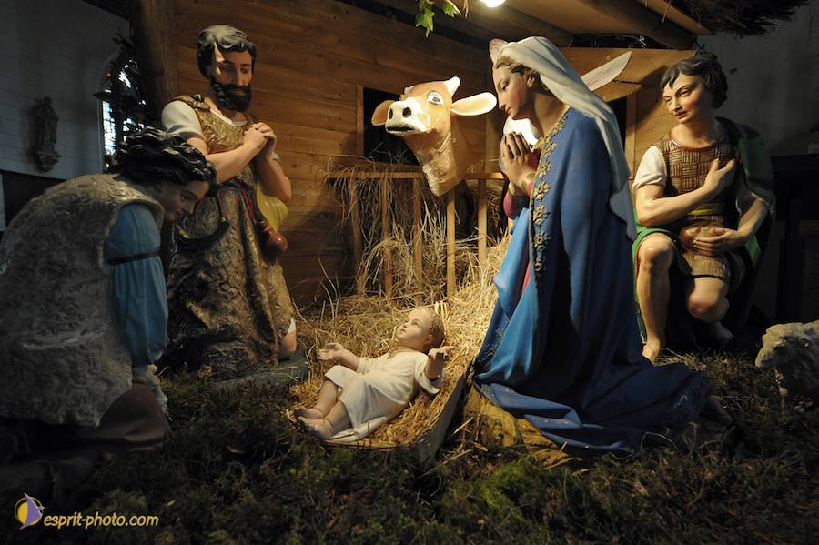 Nom de l'image : D30043099_1_(c)Norbert-JUNG — Description :